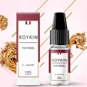 the-rebel-legend-roykin