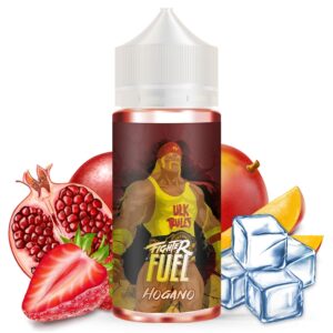 hogano-fighter-fuel