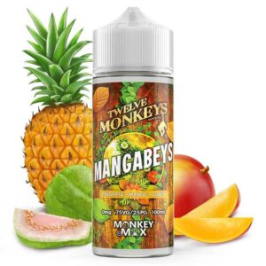 mangabeys-twelve-monkeys