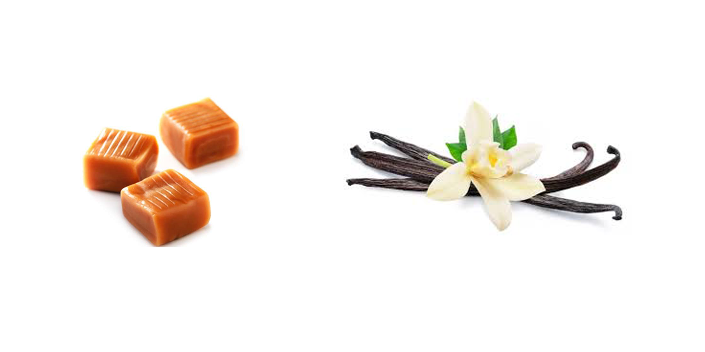 Bandeau arômes Blue Key — framboise & framboise bleue