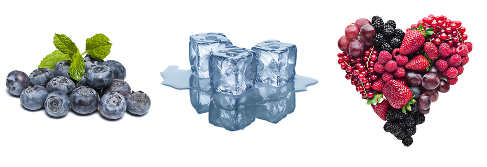 Fruits rouges • Mûre • Myrtille • Frais