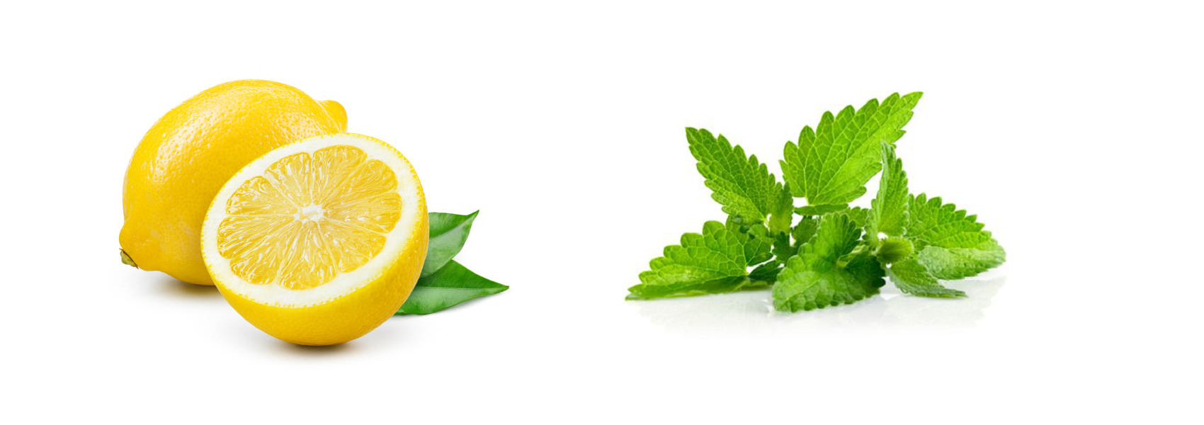 Profil aromatique Lemon Ice : citron et menthe