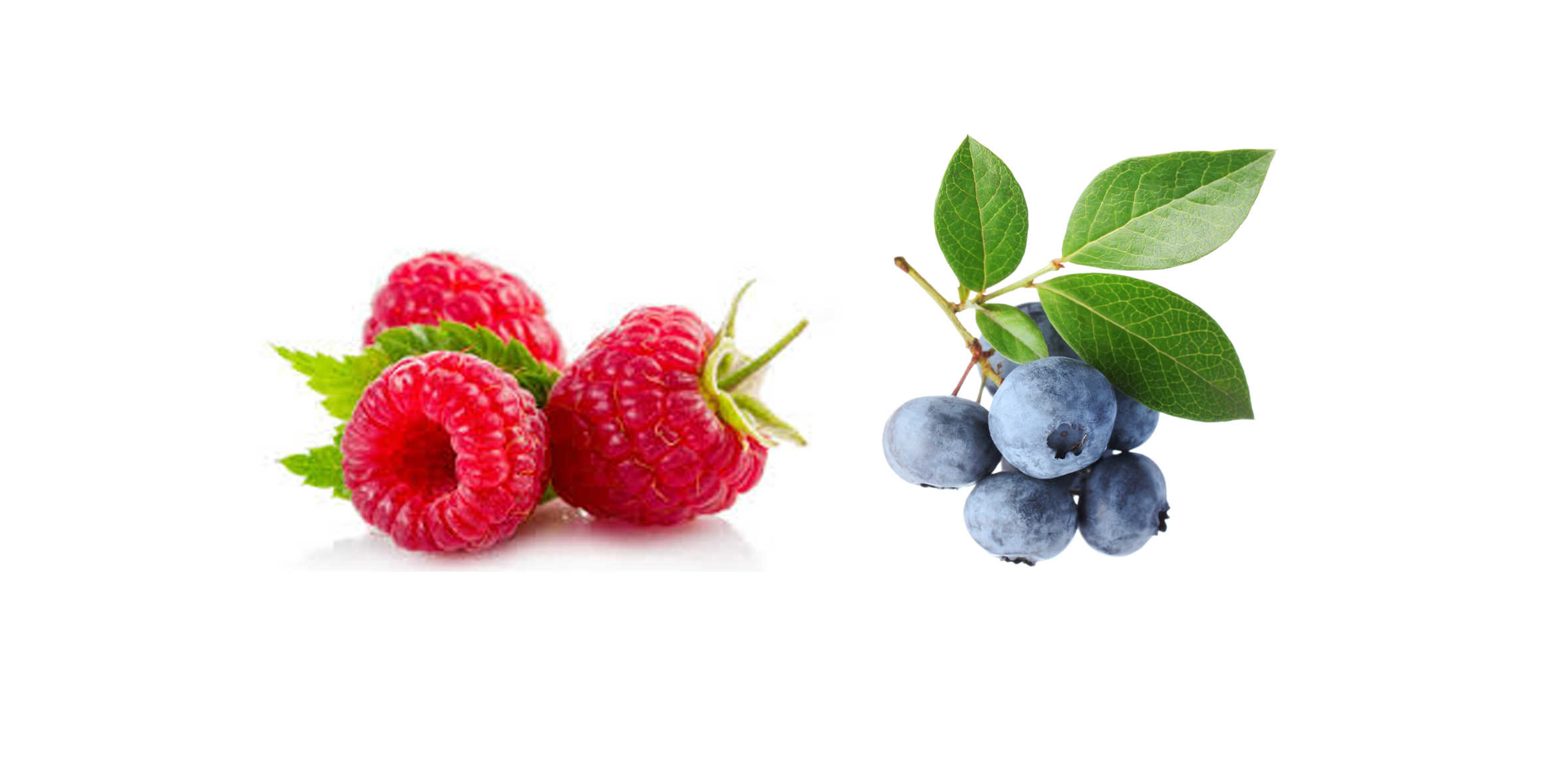 Illustration arômes framboise et myrtille