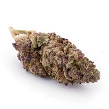 FLEURS DE CBD GRAND DADDY PURPLE GREENHOUSE