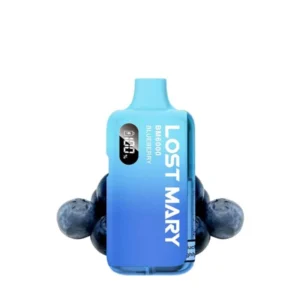 6000-puff-blueberry-bm6000-lost-mary (2)