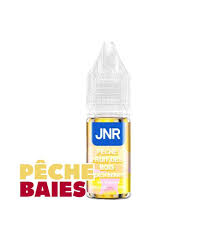 E-LIQUIDE SEL DE NICOTINE PECHE FRUIT DES BOIS JNR 10ML