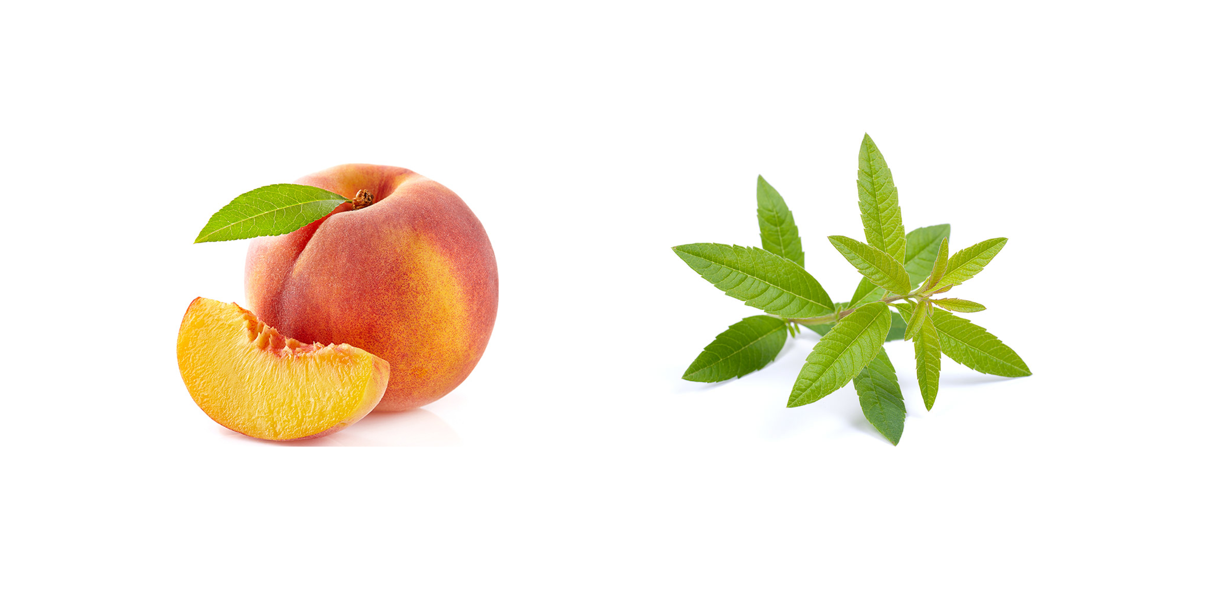 Pictogrammes arômes Pêche Verveine