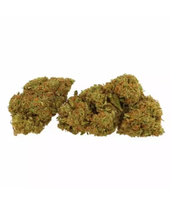 FLEURS DE CBD EXODUS CHEESE INDOOR
