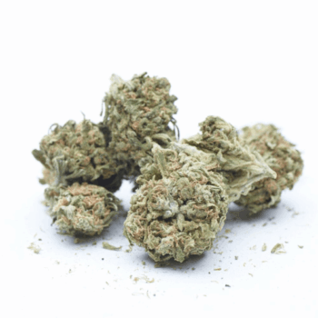 FLEURS DE CBD MIX BIG MEDIUM BUD GREENHOUSE