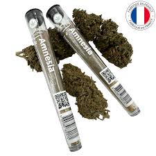 FLEURS DE CBD PRE ROULÉ AMNESIA